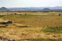 Landschaft um Rebeccu.jpg
