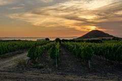 Sonnenuntergang Fattorie Isola.jpg